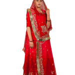 Red Banarsi Rajputi Suit | All Over Sequins & Aari Work | Jaipurio Designer Collection